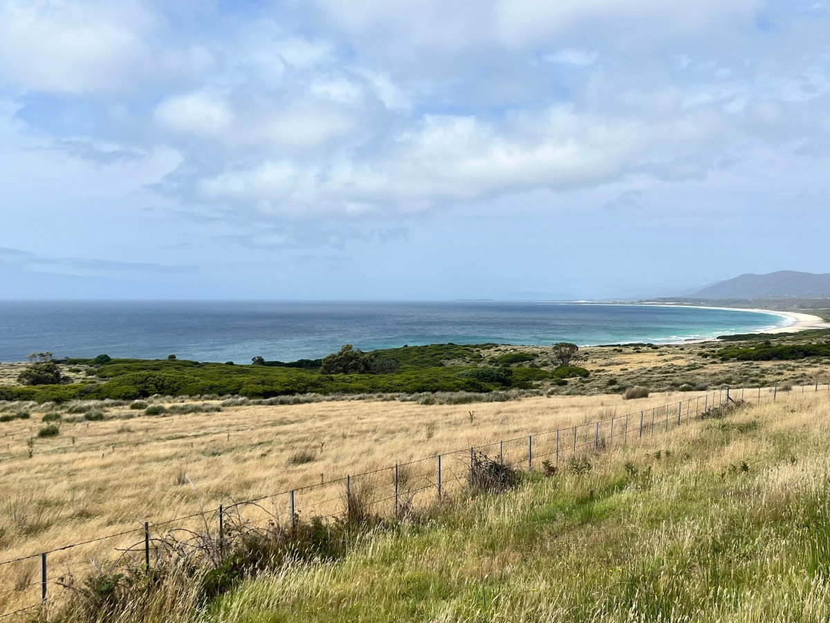La surprise d&rsquo;une île 🏝️ – Tasmanie&nbsp;1