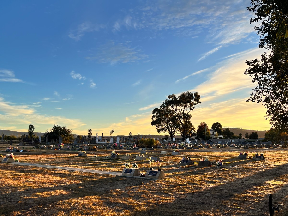 Boucler la boucle 🥺 – Tasmanie&nbsp;3